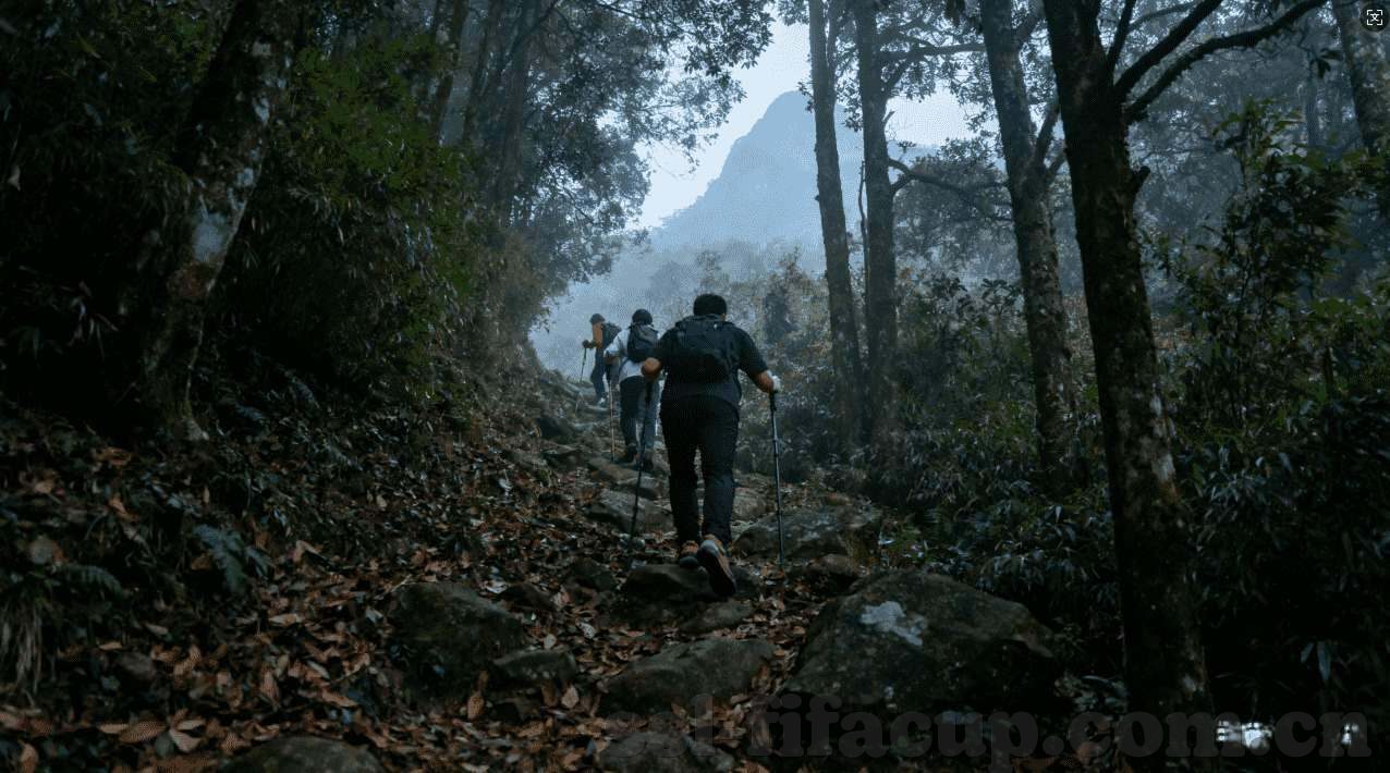 威尼斯澳门皇家赌场-威尼斯澳门皇家赌场，历史、文化、与赌场的交织